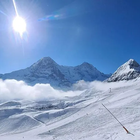 I In Bodenwald * Γκρίντελβαλντ