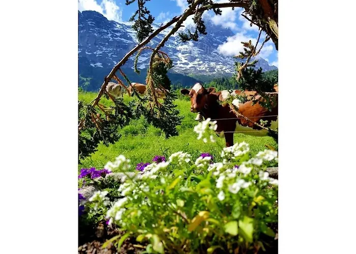 Σπίτι διακοπών I In Bodenwald *