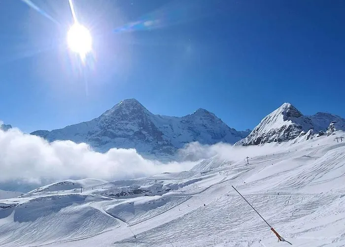 I In Bodenwald * Γκρίντελβαλντ