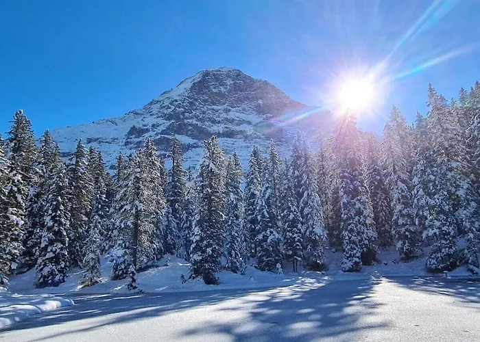 I In Bodenwald * Γκρίντελβαλντ